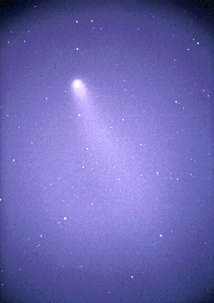 ハレー彗星