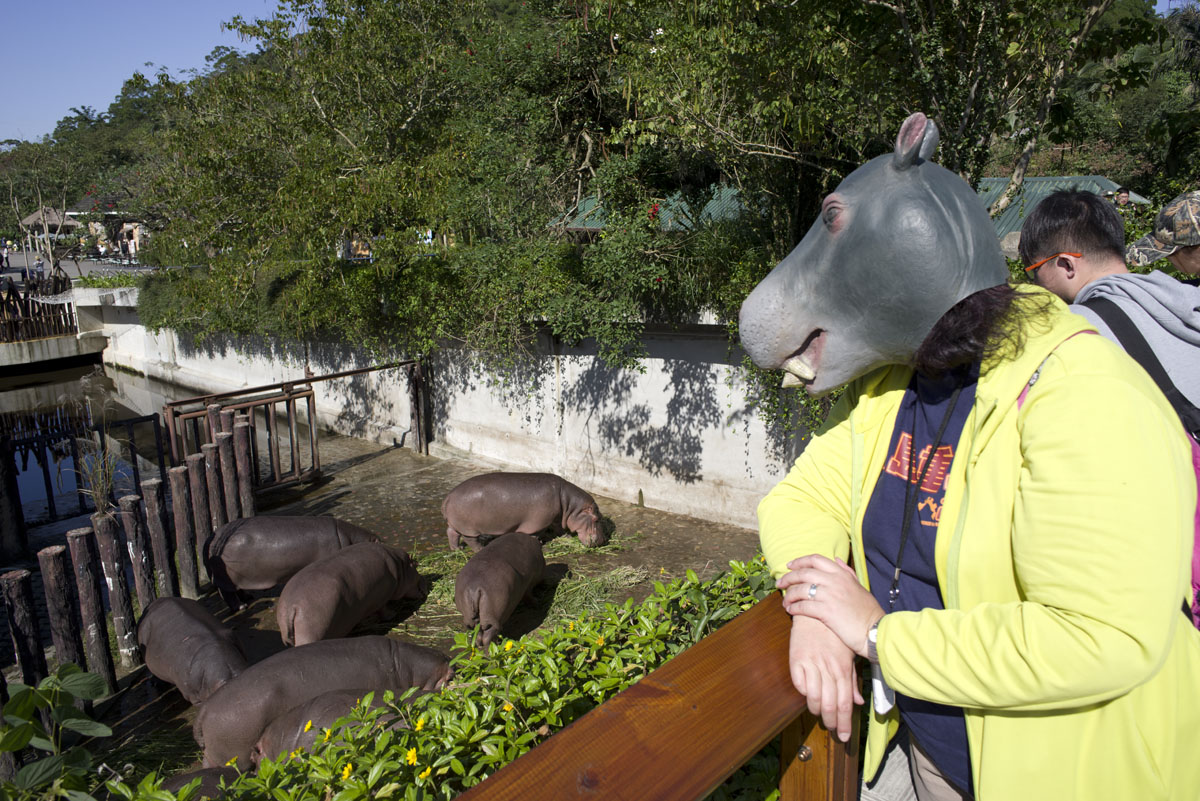台北動物園はカバ好きの聖地です うみほしのブログ うみほしの部屋